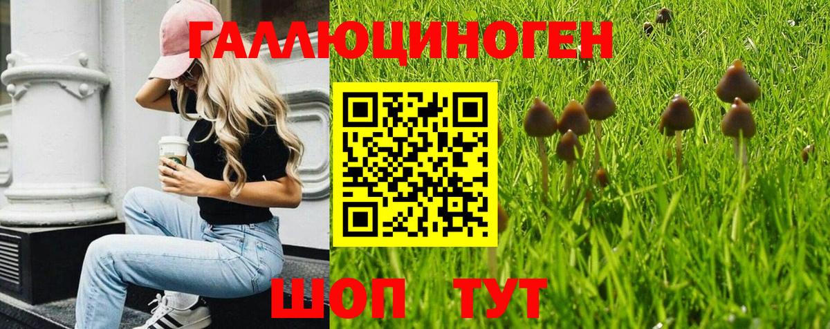 Галлюциногенные грибы ЛСД Нефтекамск